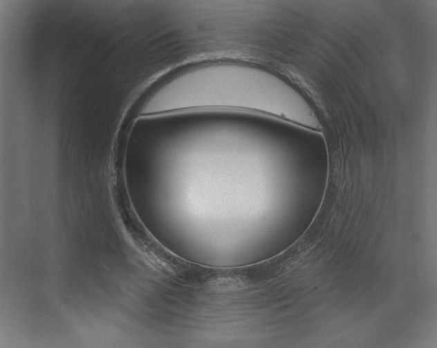 X0000072960536200607211007