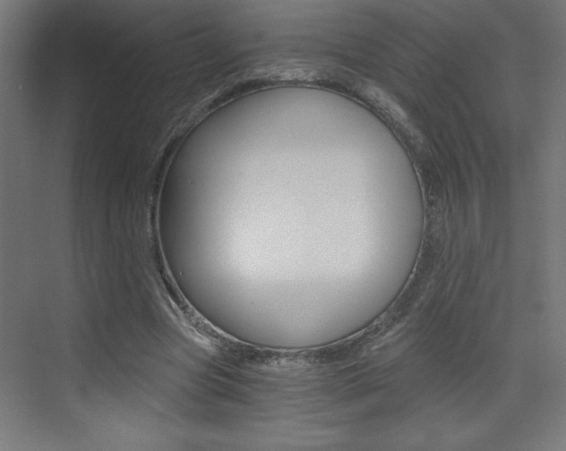 X0000072960537200607211007