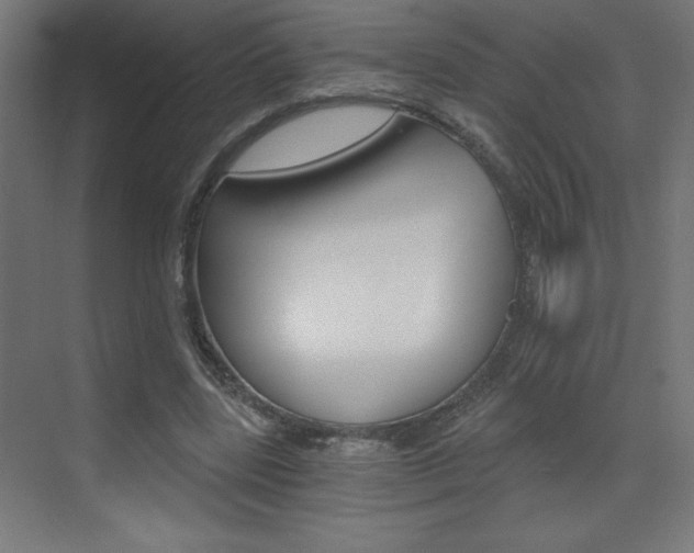 X0000072960539200607211007