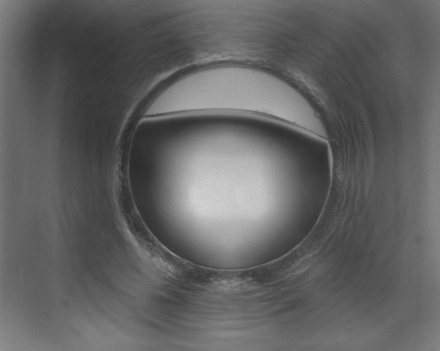 X0000072960540200607211007