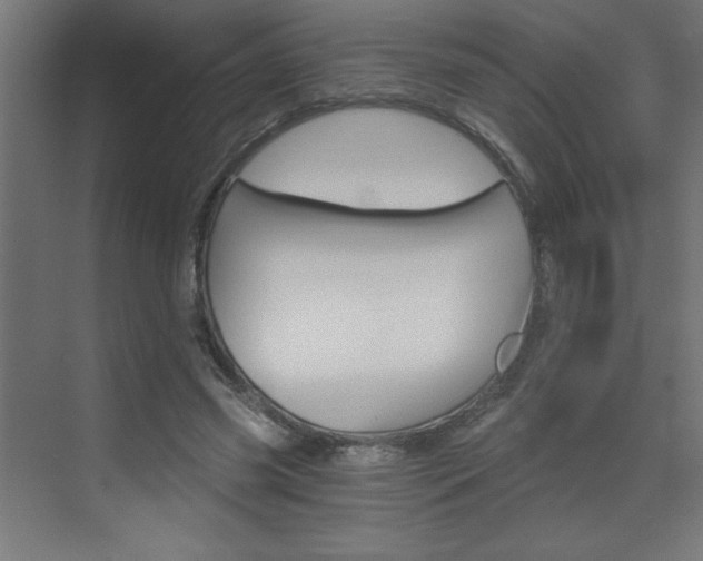 X0000072960541200607211007