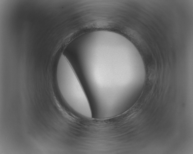 X0000072960542200607211007