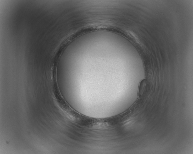 X0000072960543200607211007