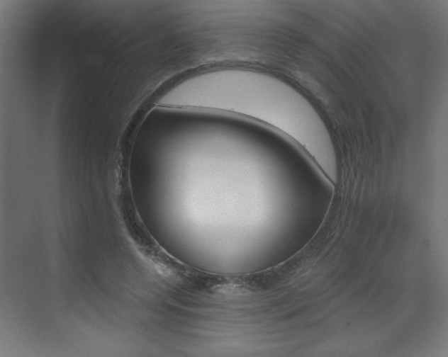 X0000072960544200607211007
