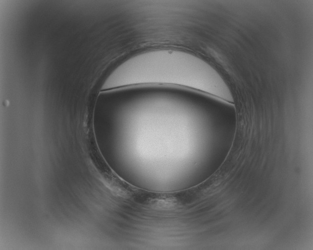X0000072960548200607211007