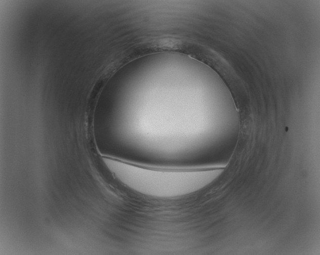 X0000072960552200607211007
