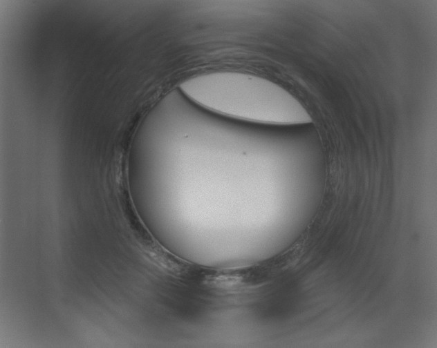 X0000072960554200607211007