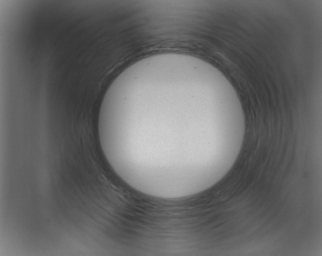 X0000072960556200607211007