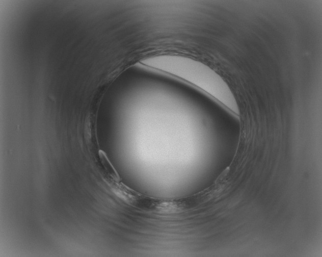 X0000072960562200607211007