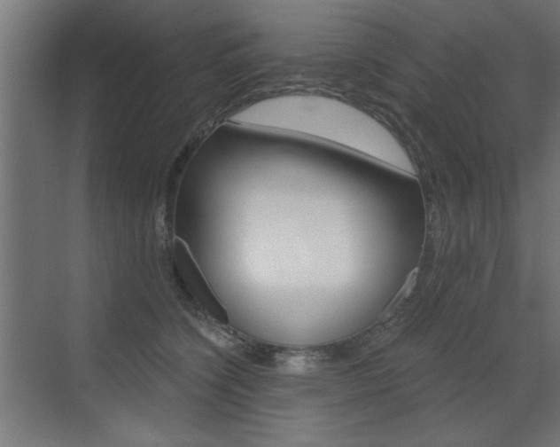 X0000072960564200607211007