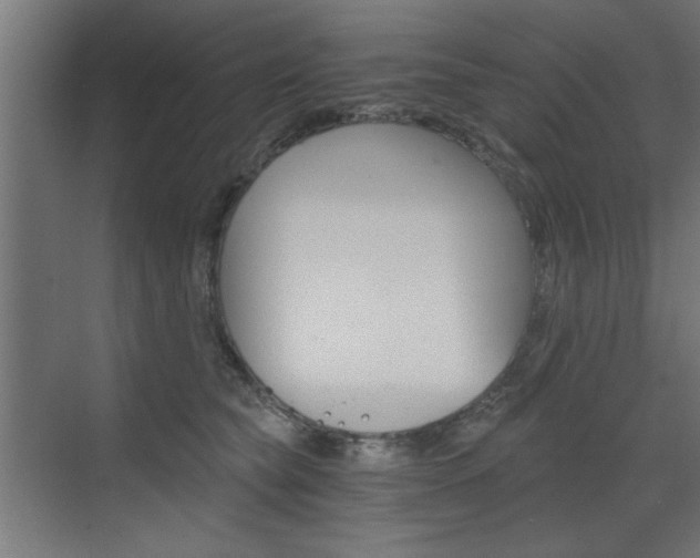 X0000072960565200607211007