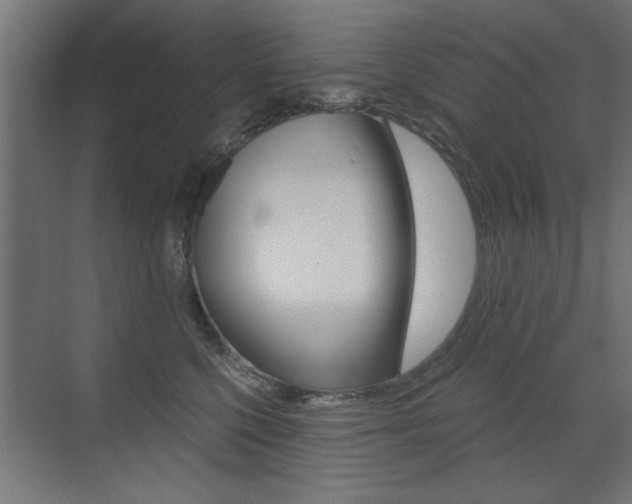 X0000072960568200607211007