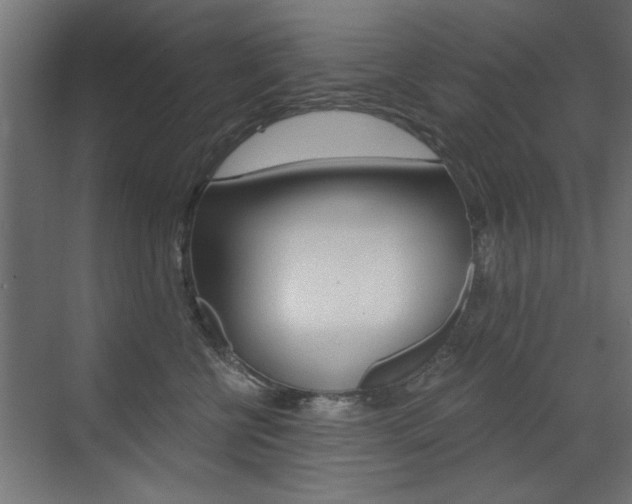 X0000072960570200607211007