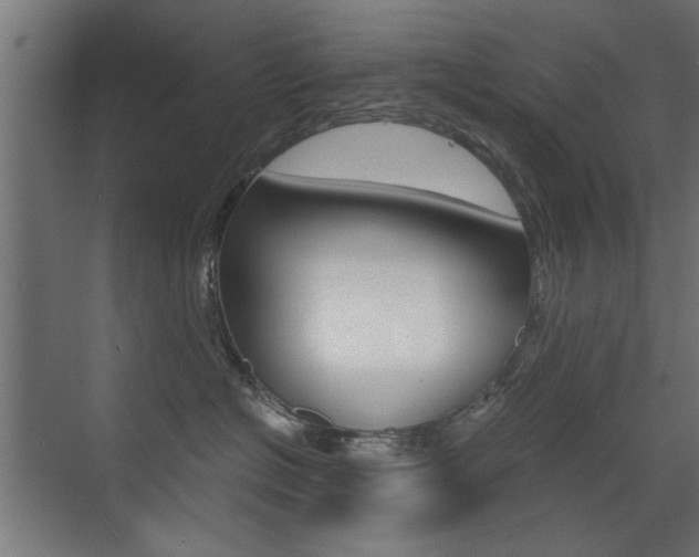 X0000072960574200607211008