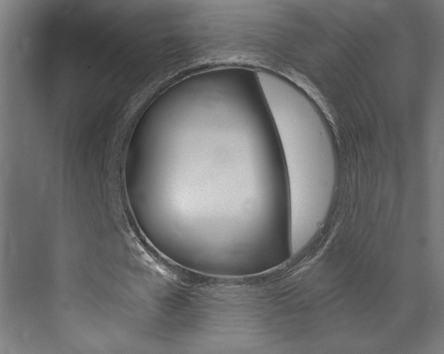 X0000072960577200607211007