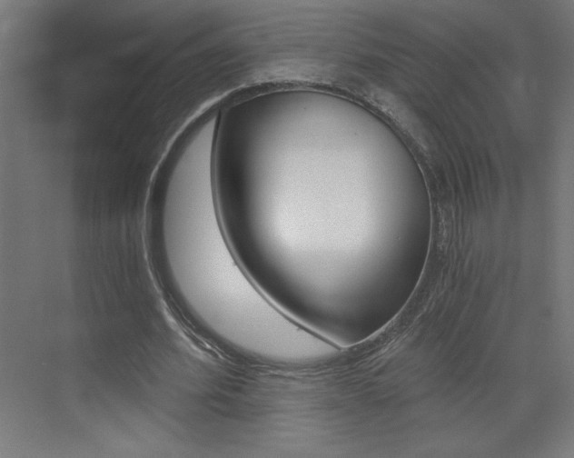 X0000072960580200607211007