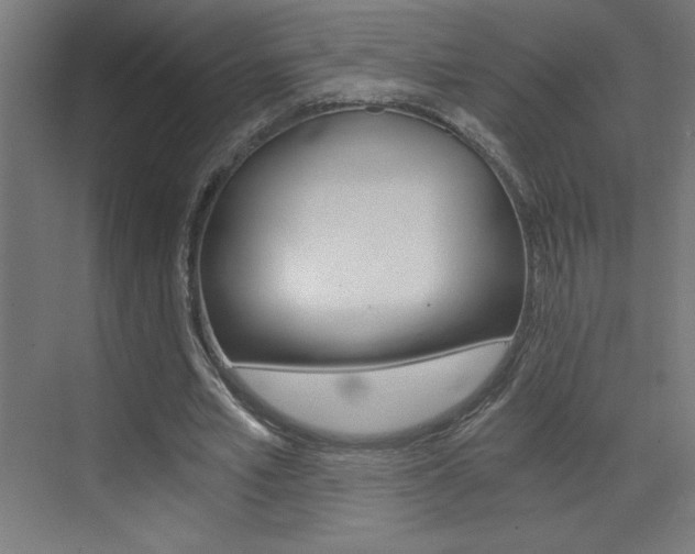 X0000072960581200607211007