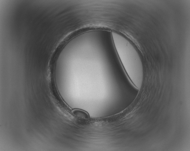 X0000072960584200607211007