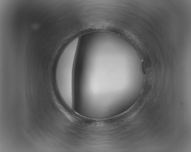 X0000072960589200607211007
