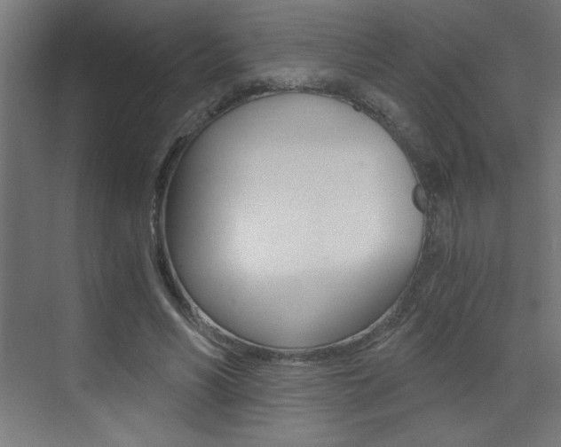 X0000072960590200607211007