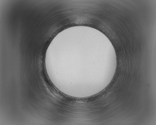 X0000072960592200607211007
