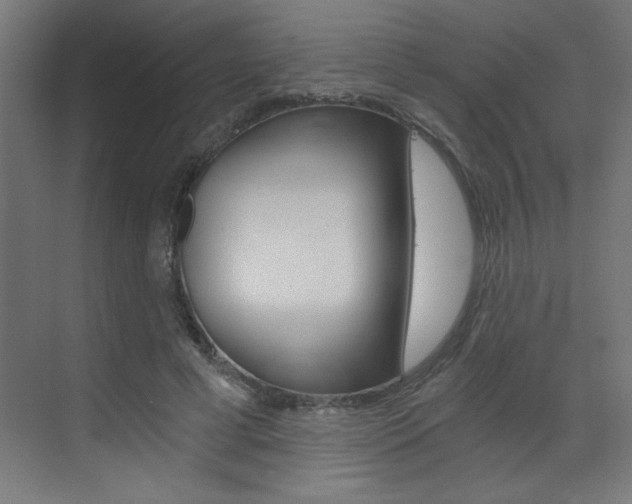 X0000072960593200607211007