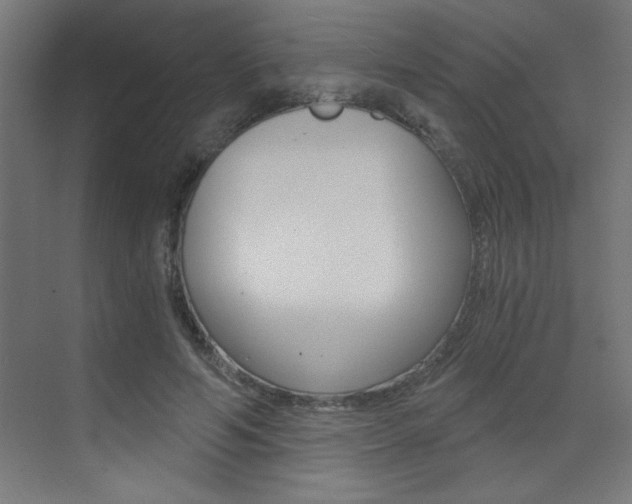 X0000072960594200607211006