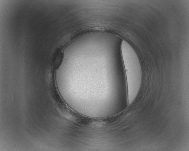 X0000072960595200607211006