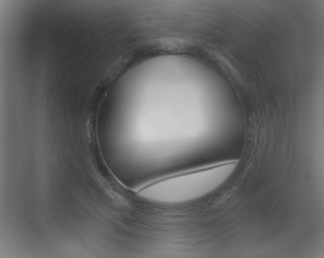 X0000072960597200607211006