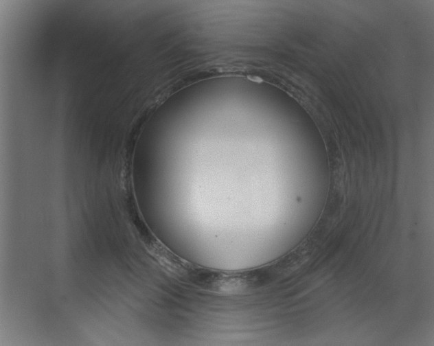 X0000072960604200607211006