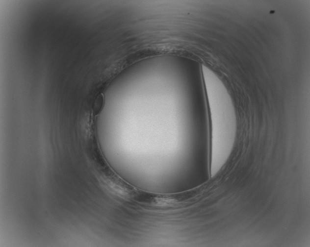 X0000072960605200607211006