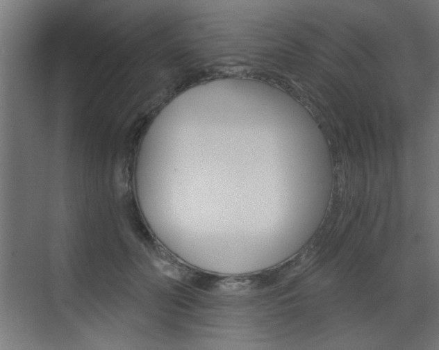 X0000072960606200607211006