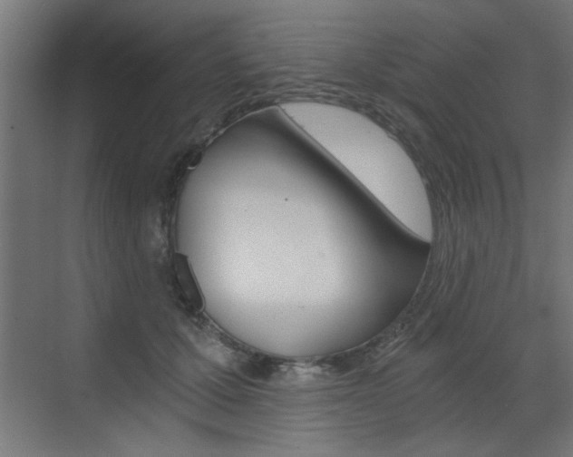 X0000072960607200607211006