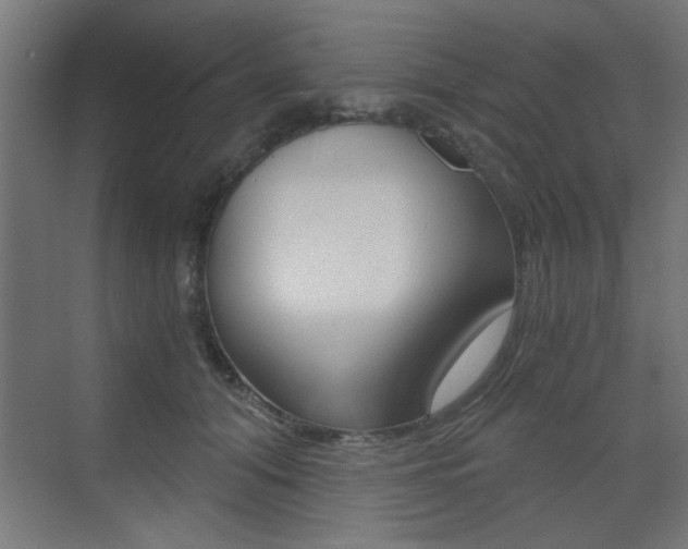 X0000072960608200607211006