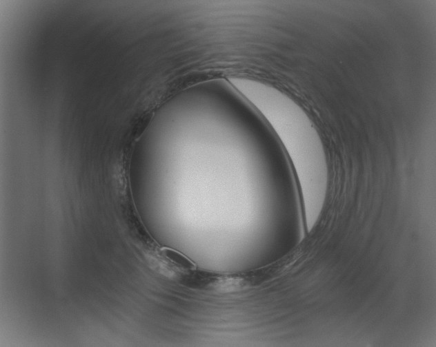 X0000072960609200607211006