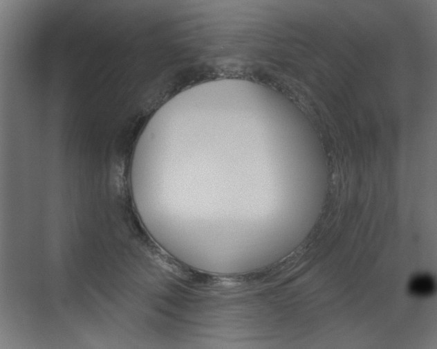 X0000072960610200607211006