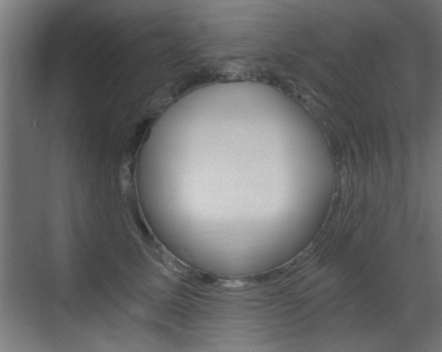 X0000072960611200607211006