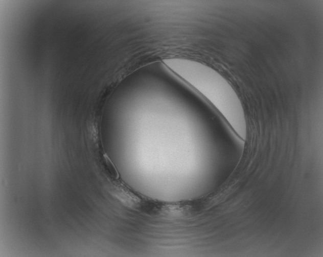 X0000072960613200607211006