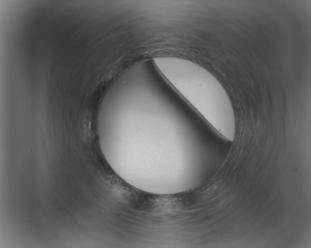 X0000072960615200607211006