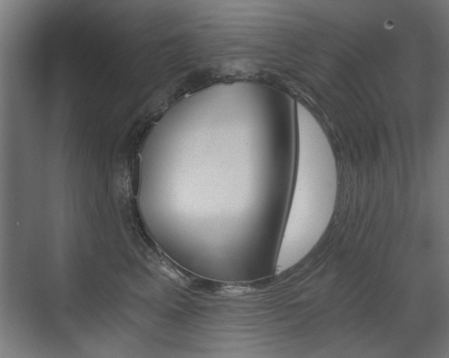 X0000072960617200607211006
