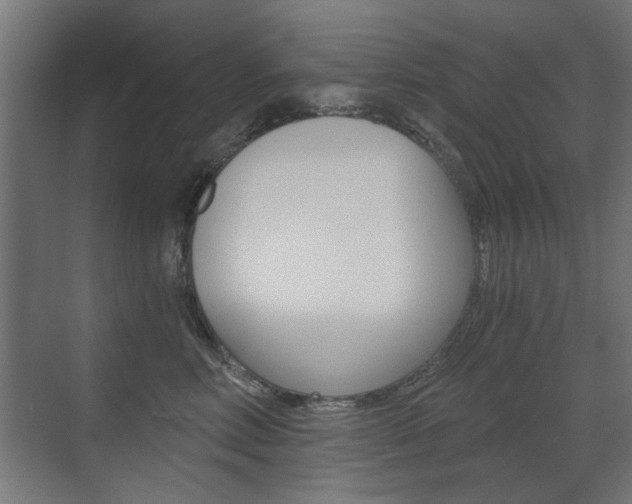 X0000072960618200607211006