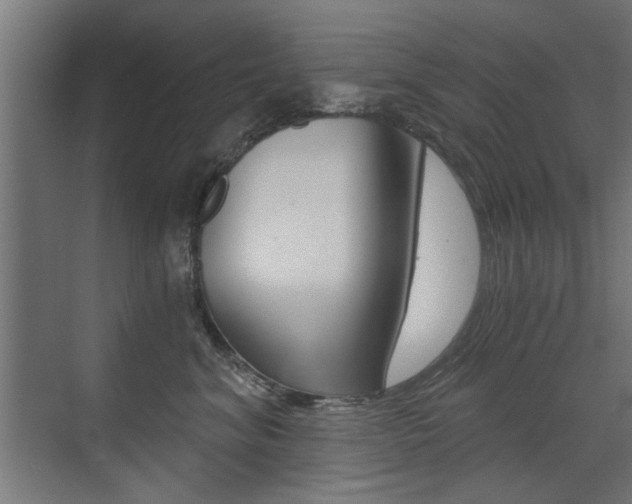 X0000072960620200607211006