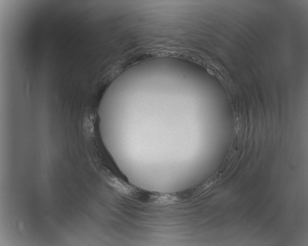 X0000072960621200607211006