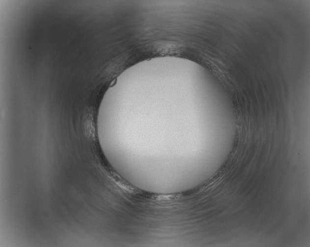 X0000072960622200607211006