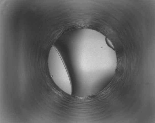 X0000072960623200607211006