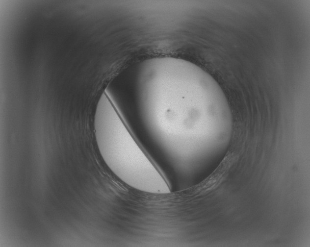 X0000072960624200607211006