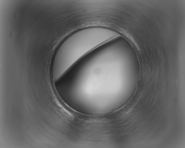 X0000072960625200607211005