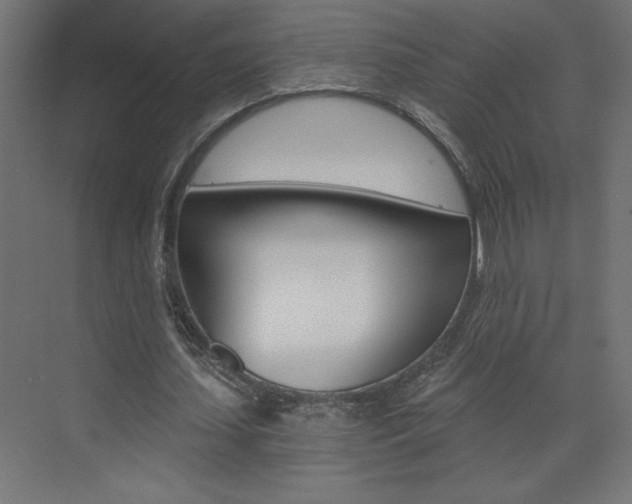 X0000072960627200607211005
