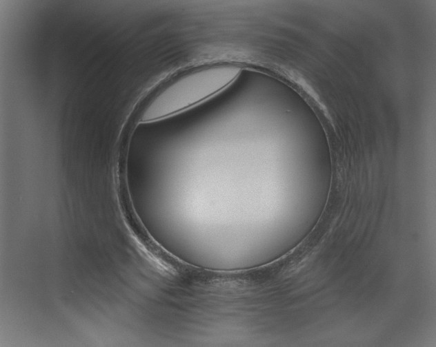 X0000072960629200607211005