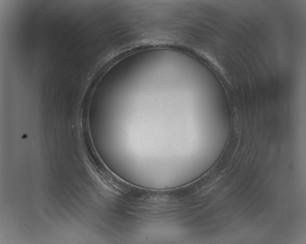 X0000072960631200607211005